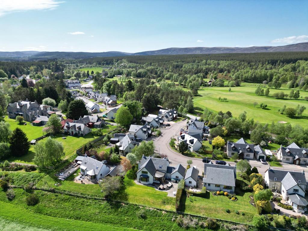 DJI 0615.jpg
