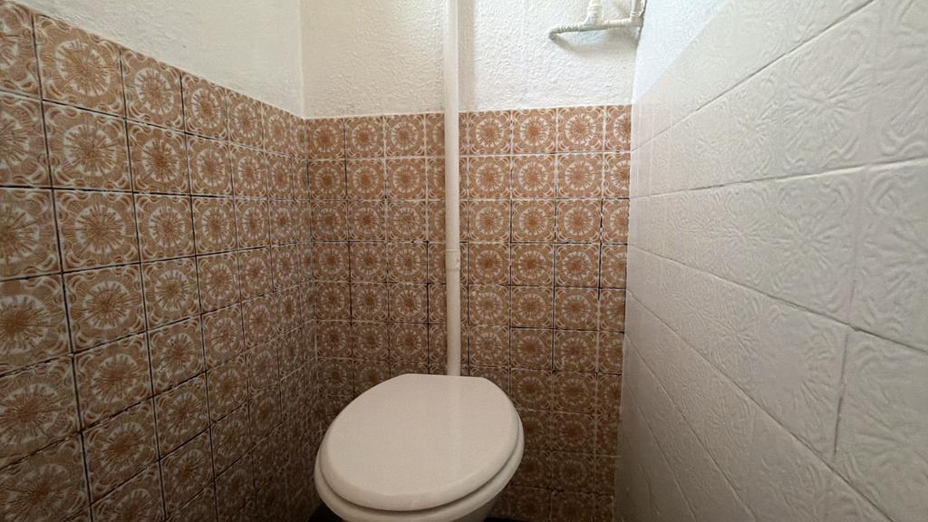 IMG 3065 T202602051049.jpeg