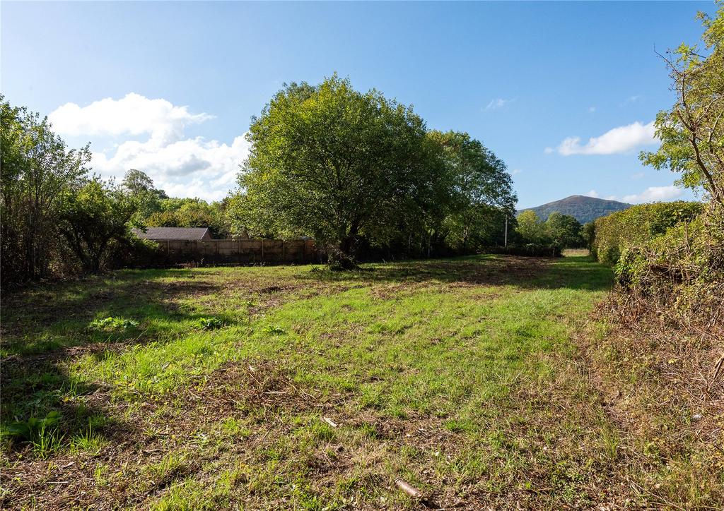 Plot