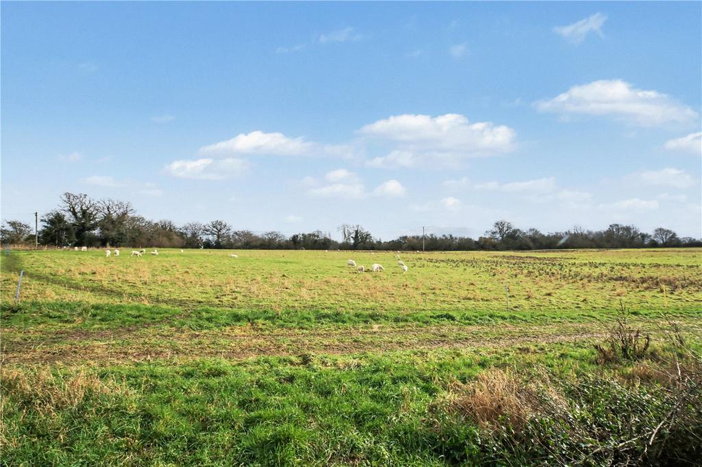 Field View