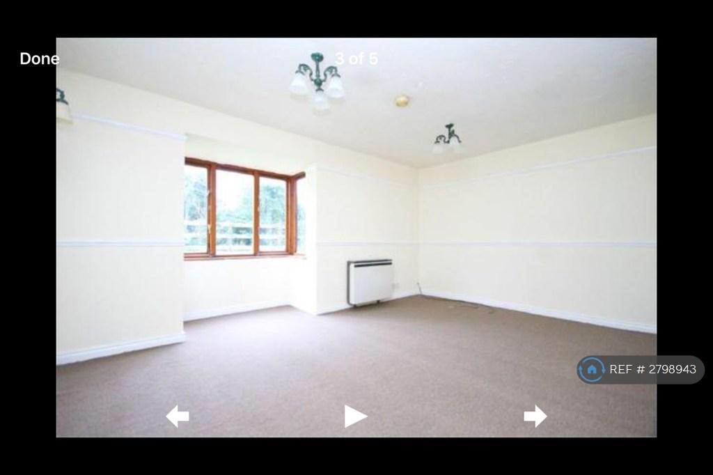 Lounge/Bedroom
