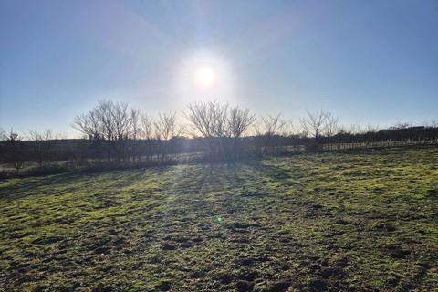 undefined, Martlesham, Nr Woodbridge, Suffolk