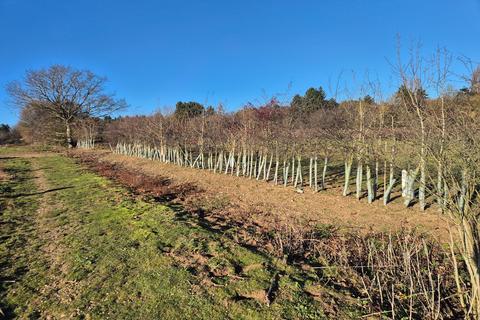 undefined, Martlesham, Nr Woodbridge, Suffolk