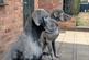 Additional image 32 of Stoke Lane, Gedling, Nottingham, Nottinghamshire, NG4