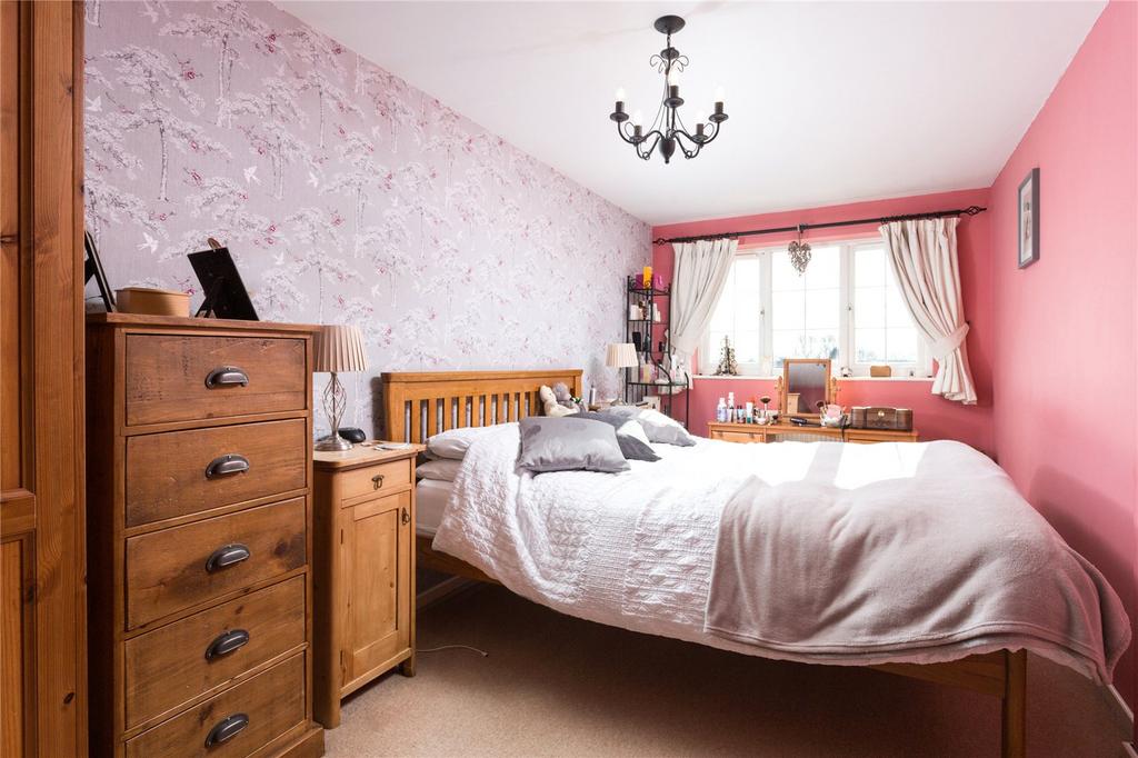 Photos