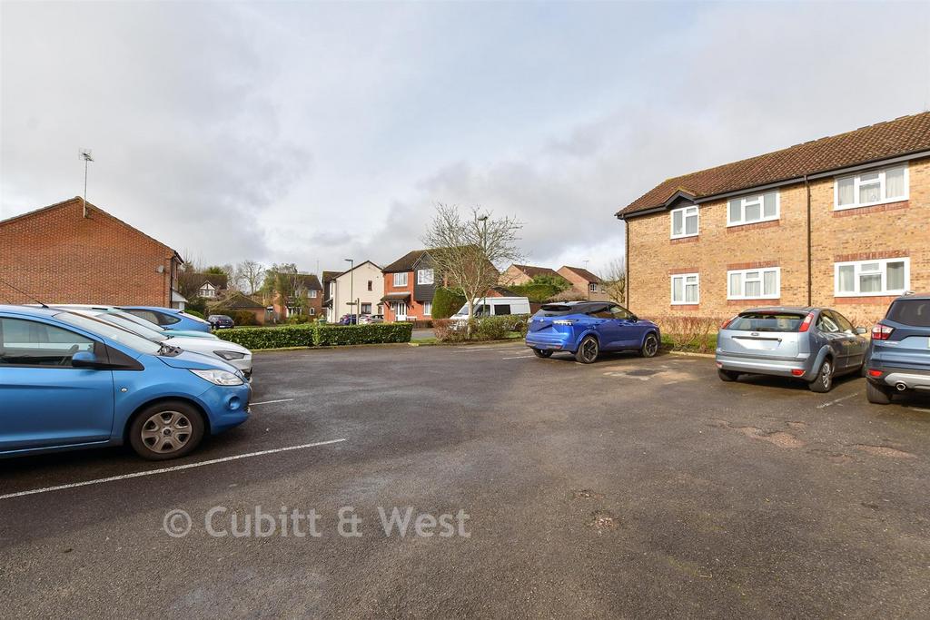 Driveway/Parking