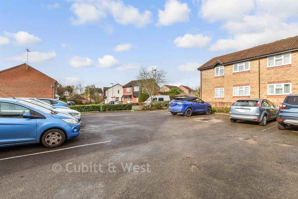 Driveway/Parking