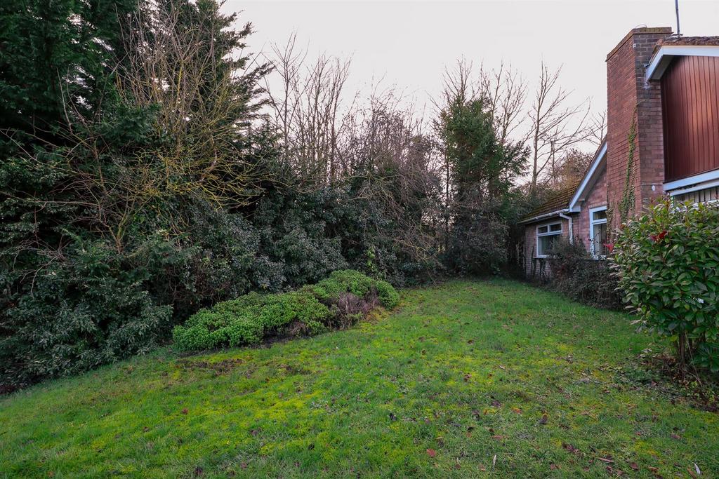 Front garden.jpg