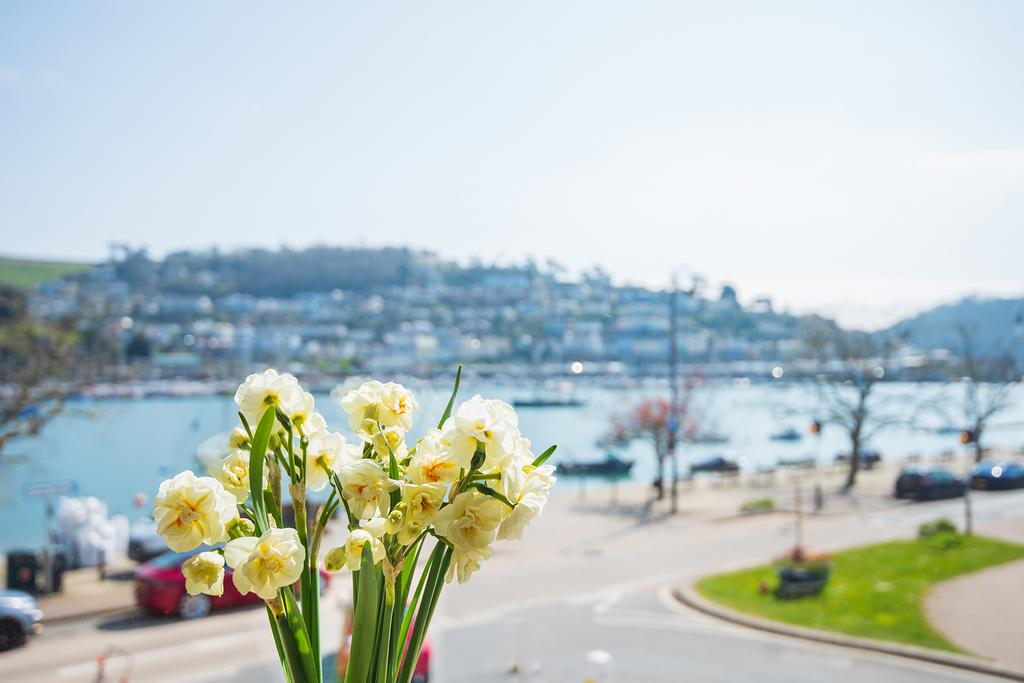 11 Daffodil