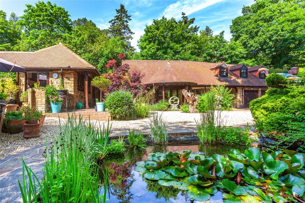 Pond