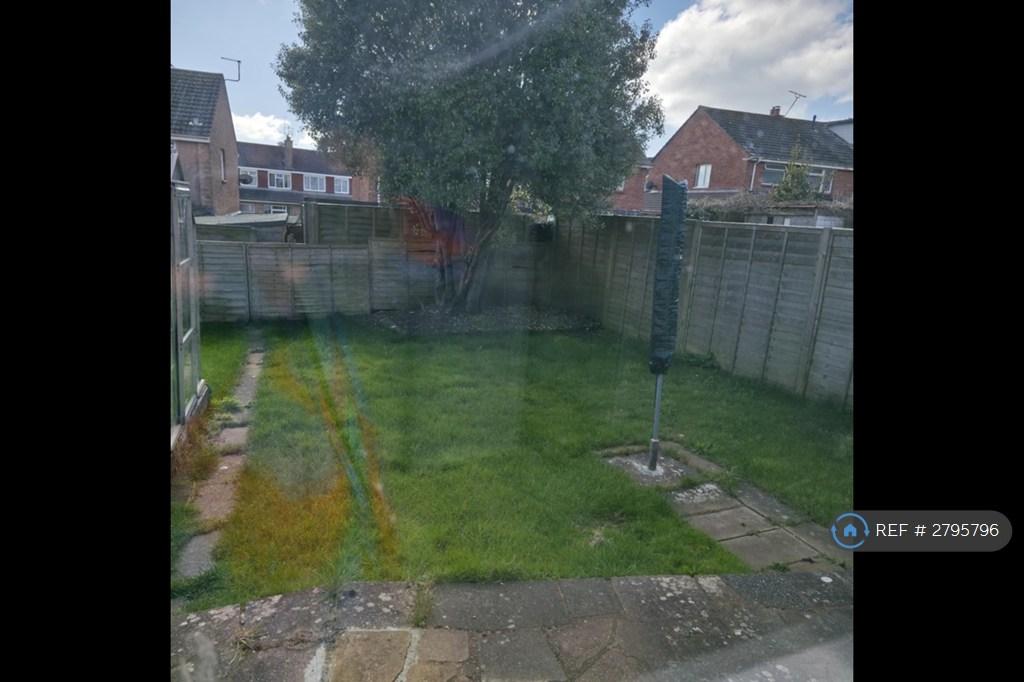 Back Garden