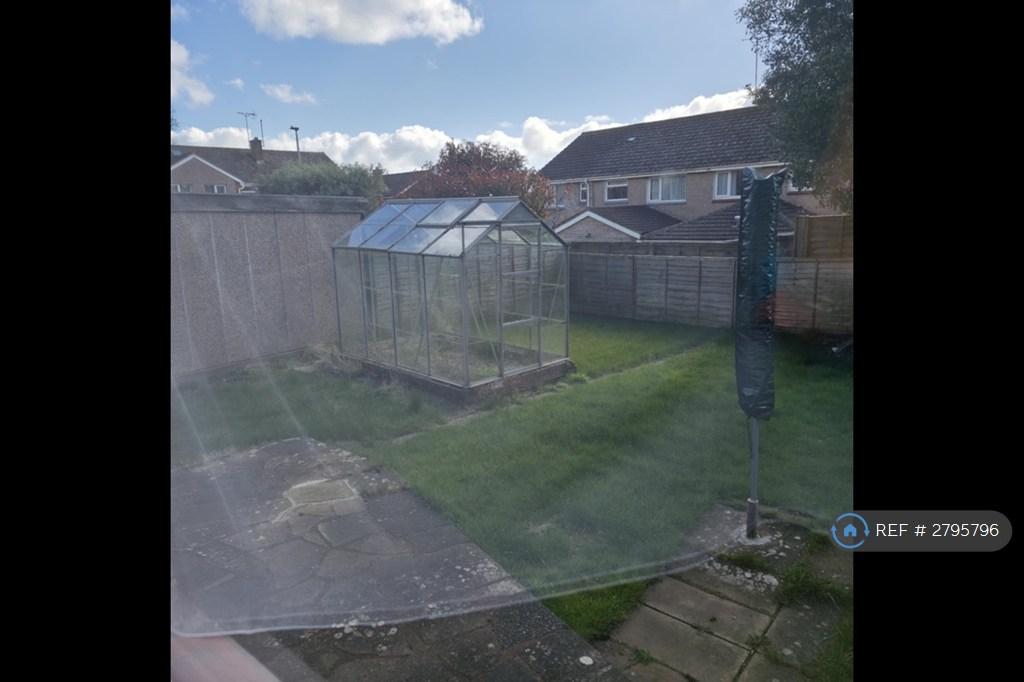 Back Garden