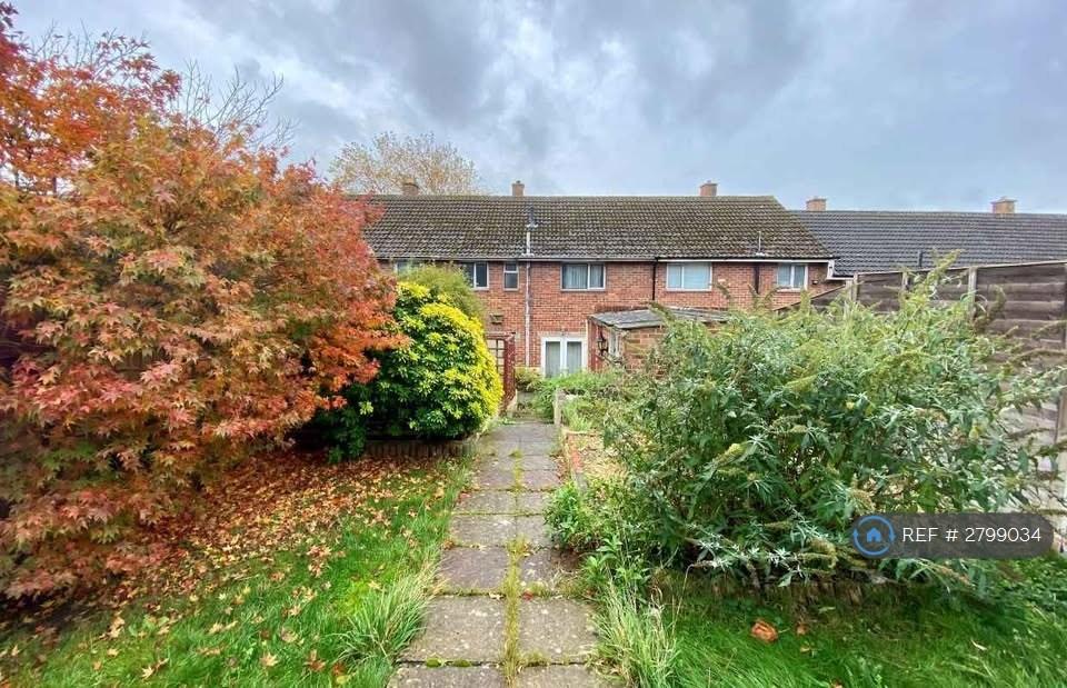 Back Garden