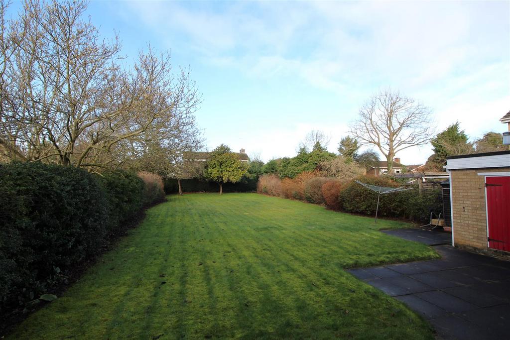 Garden 2.JPG