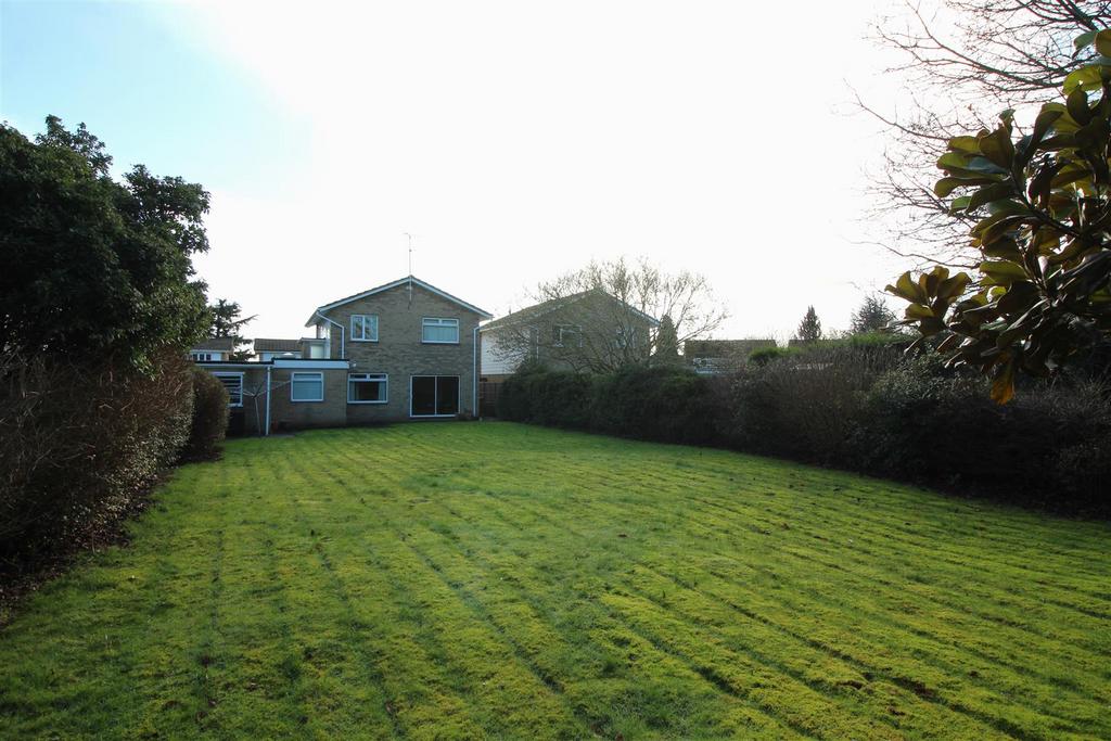 Garden 3 .JPG