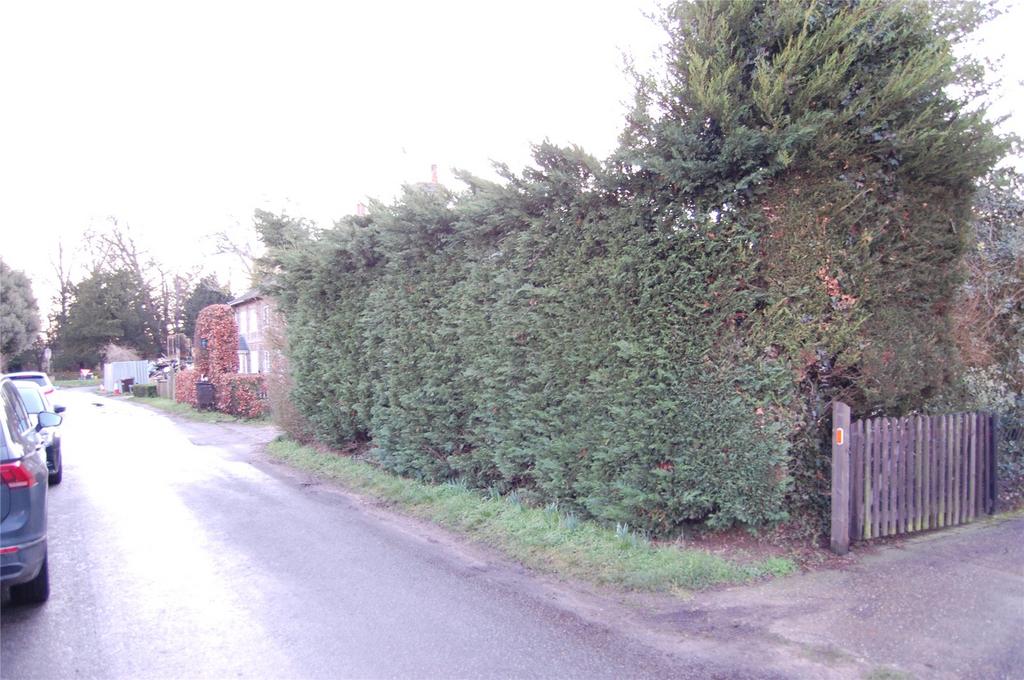 Hedged Road Frontage
