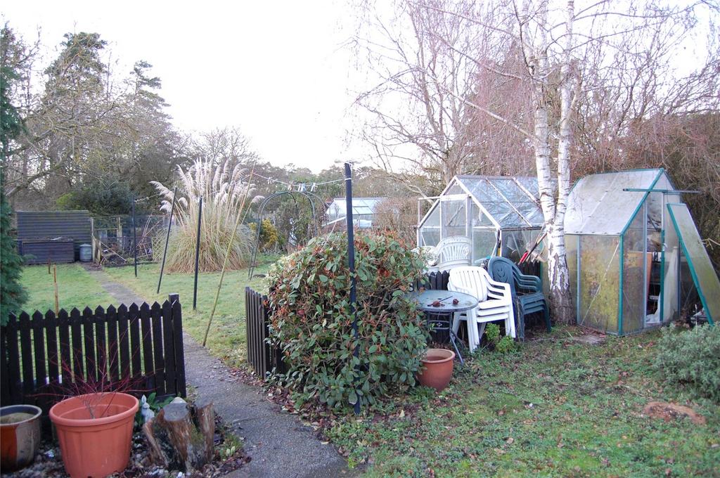 Back Of Site