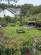 Additional image 23 of Penmaenmawr Road, Llanfairfechan, Conwy, LL33