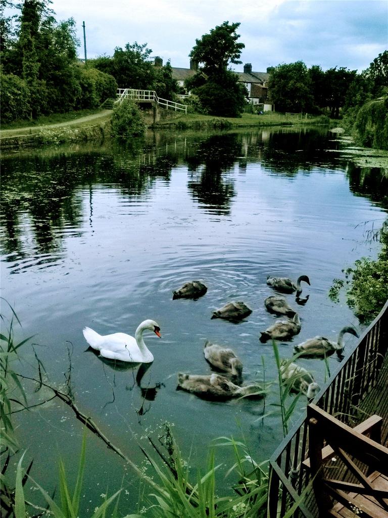 Canalside