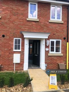 Saltsman Road, Bury St Edmunds, IP32