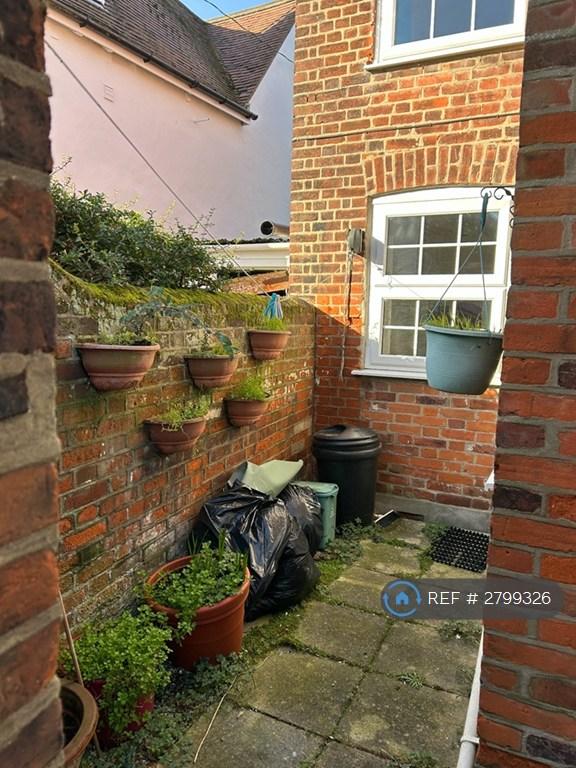 Back Courtyard
