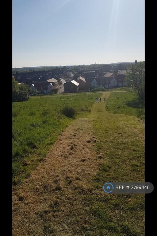 Forest Park Access
