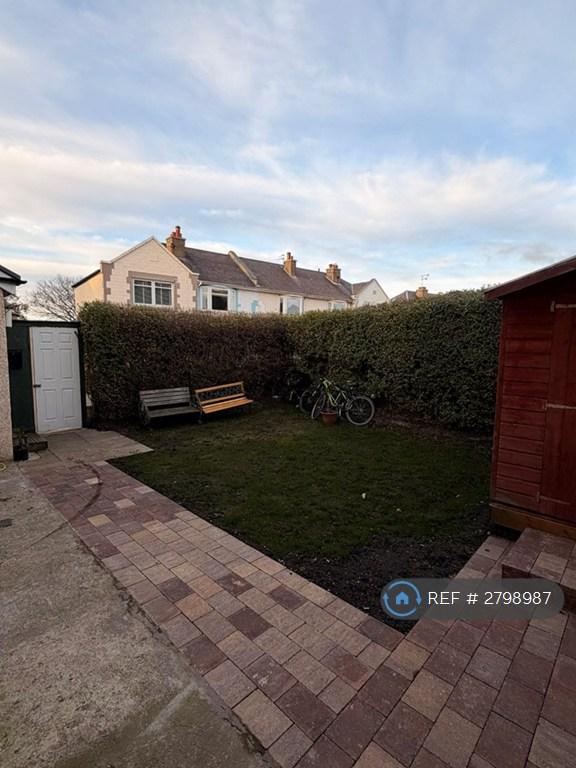 Back Garden
