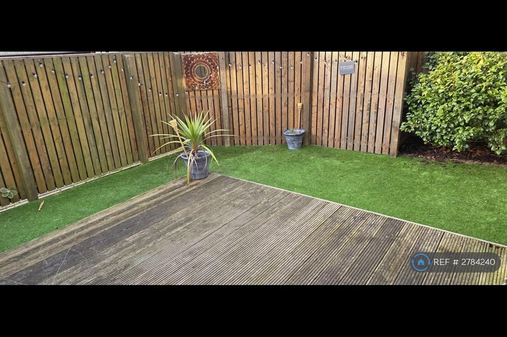Back Garden