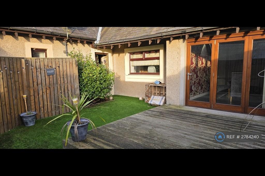 Back Garden