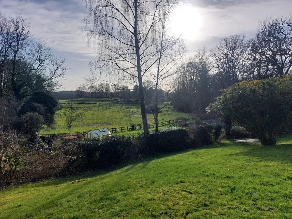 Communal Grounds