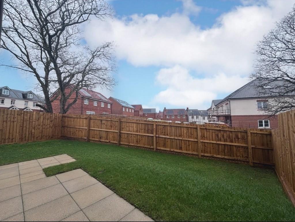 Back garden