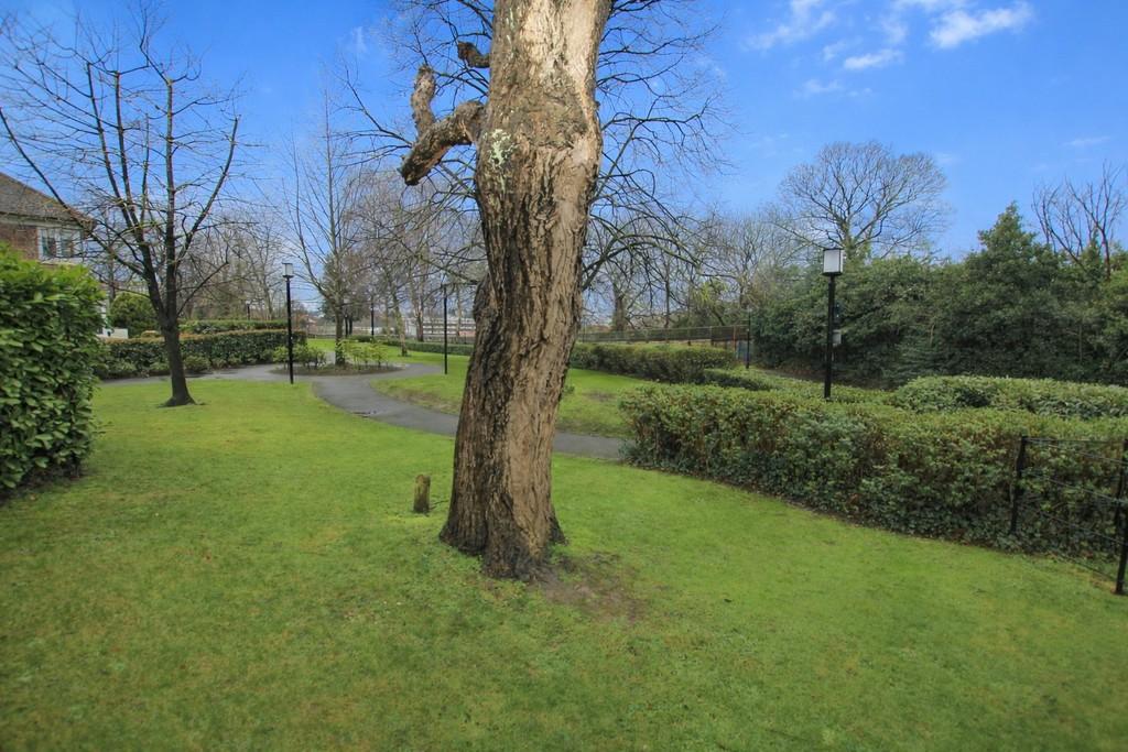 Grounds1
