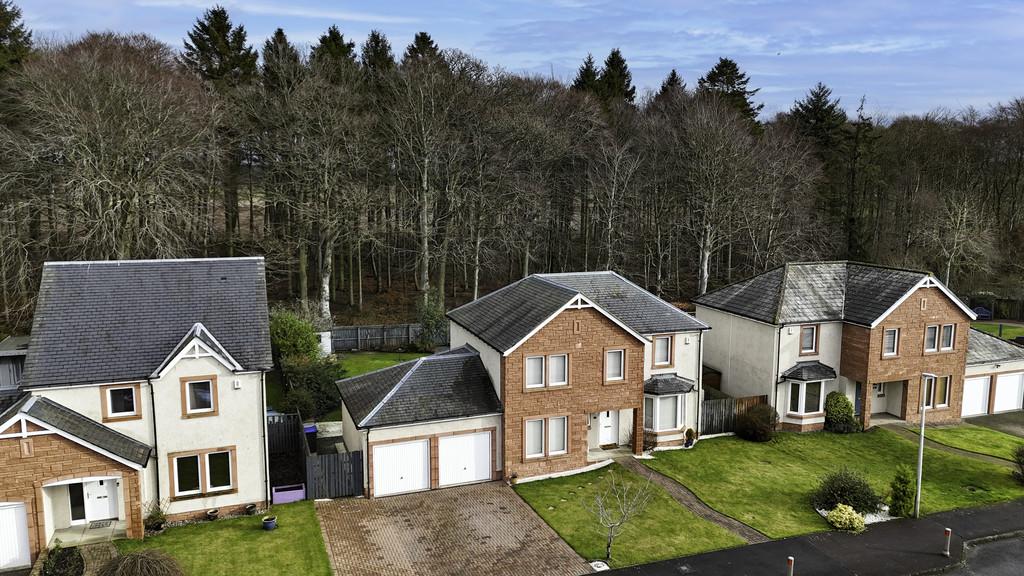 DJI 20260212115724 0732 D-Edit