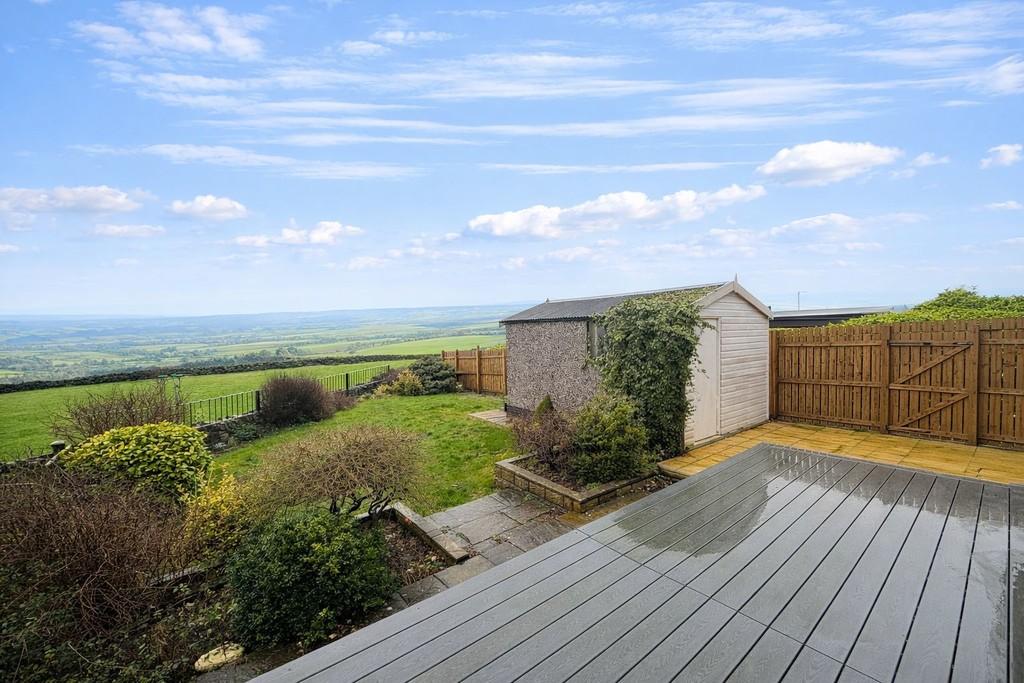 Back garden.