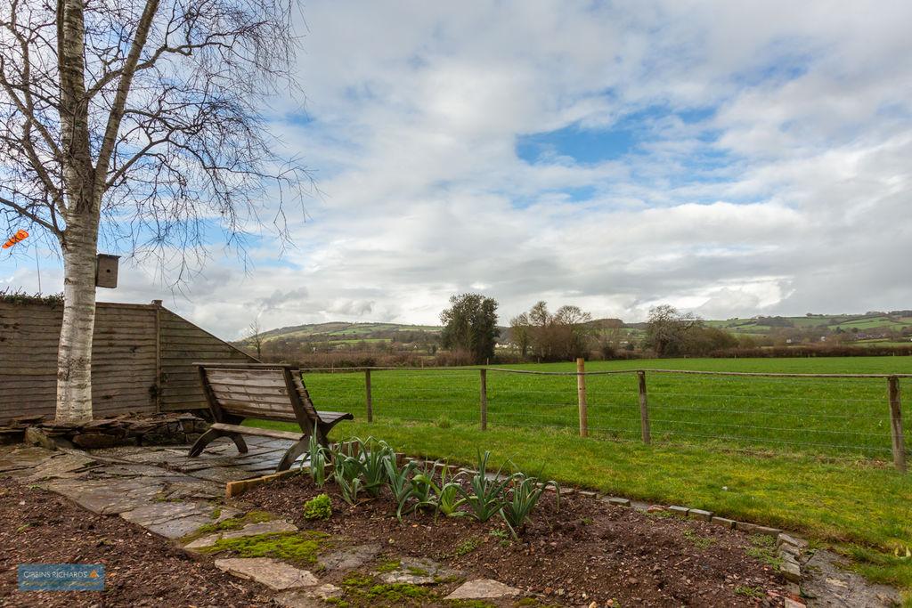 Garden / View