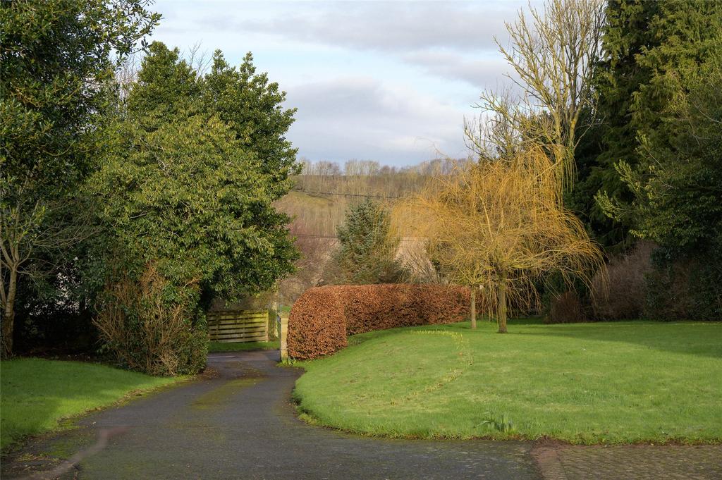 Garden / Driveway
