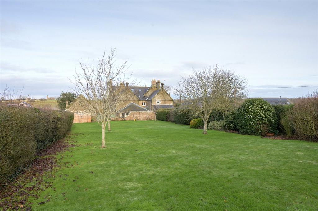 Back Garden