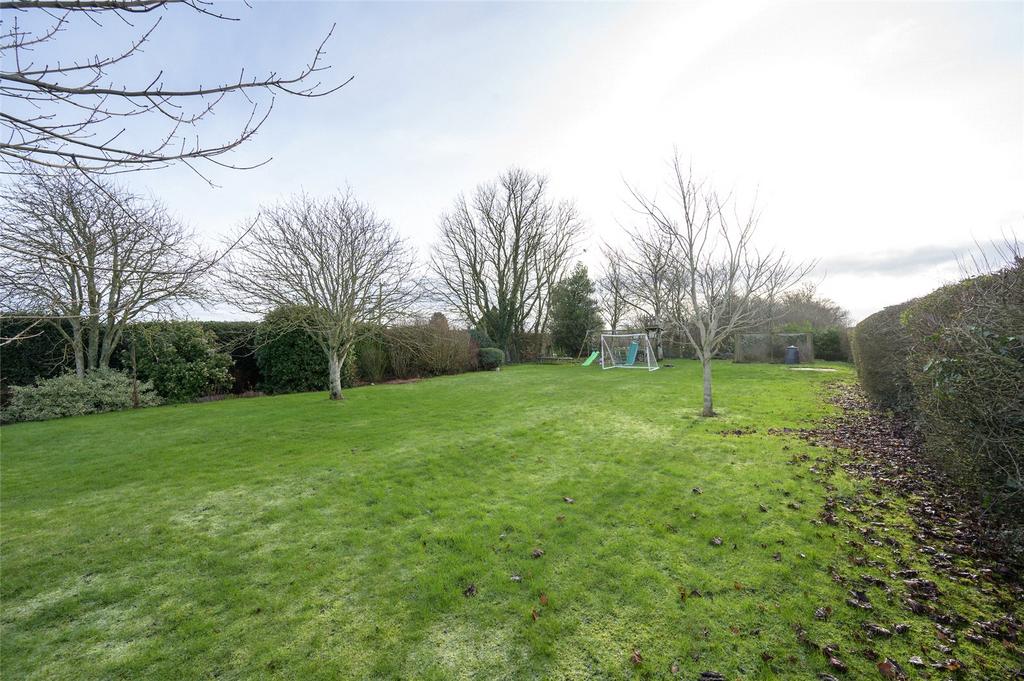 Back Garden