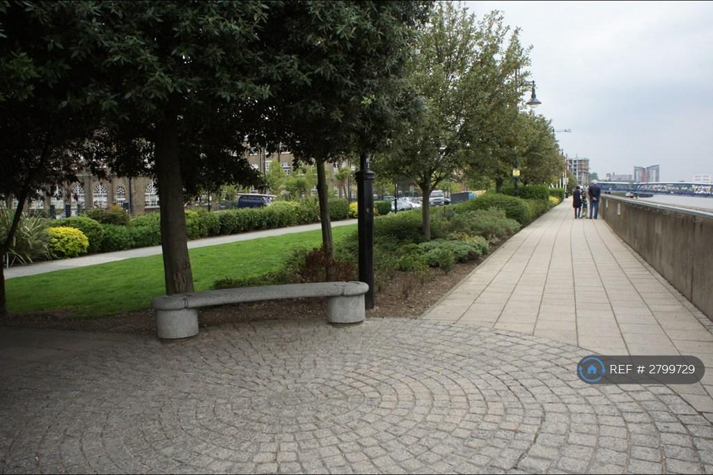 The Area - Endless Riverpath At Your Doorstep