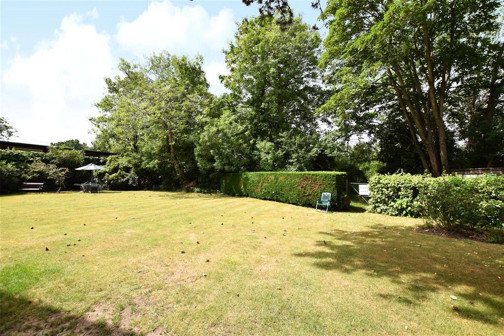 Garden view, garden