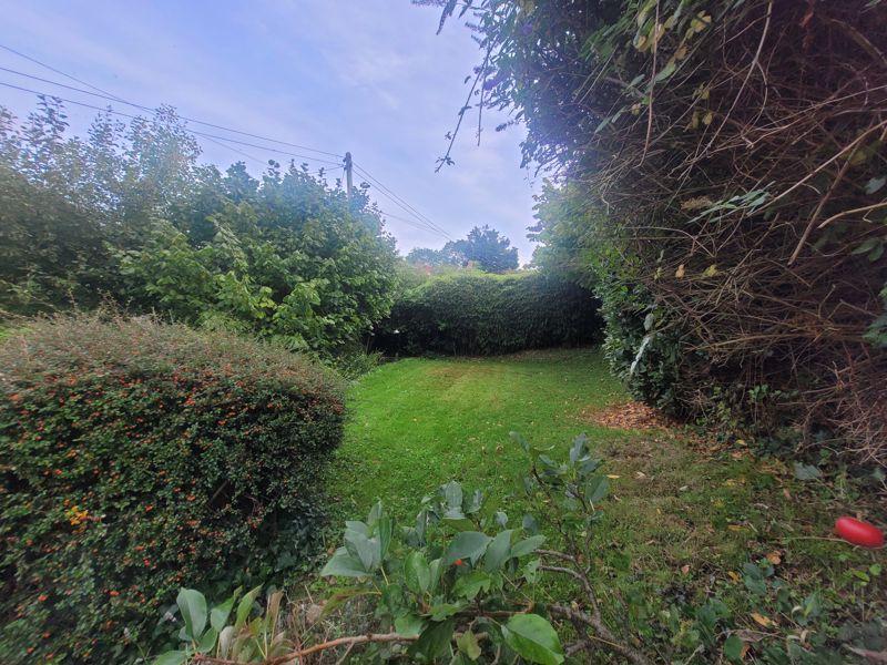 Photo 45