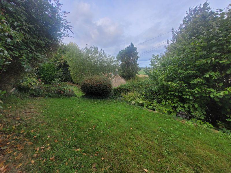 Photo 46