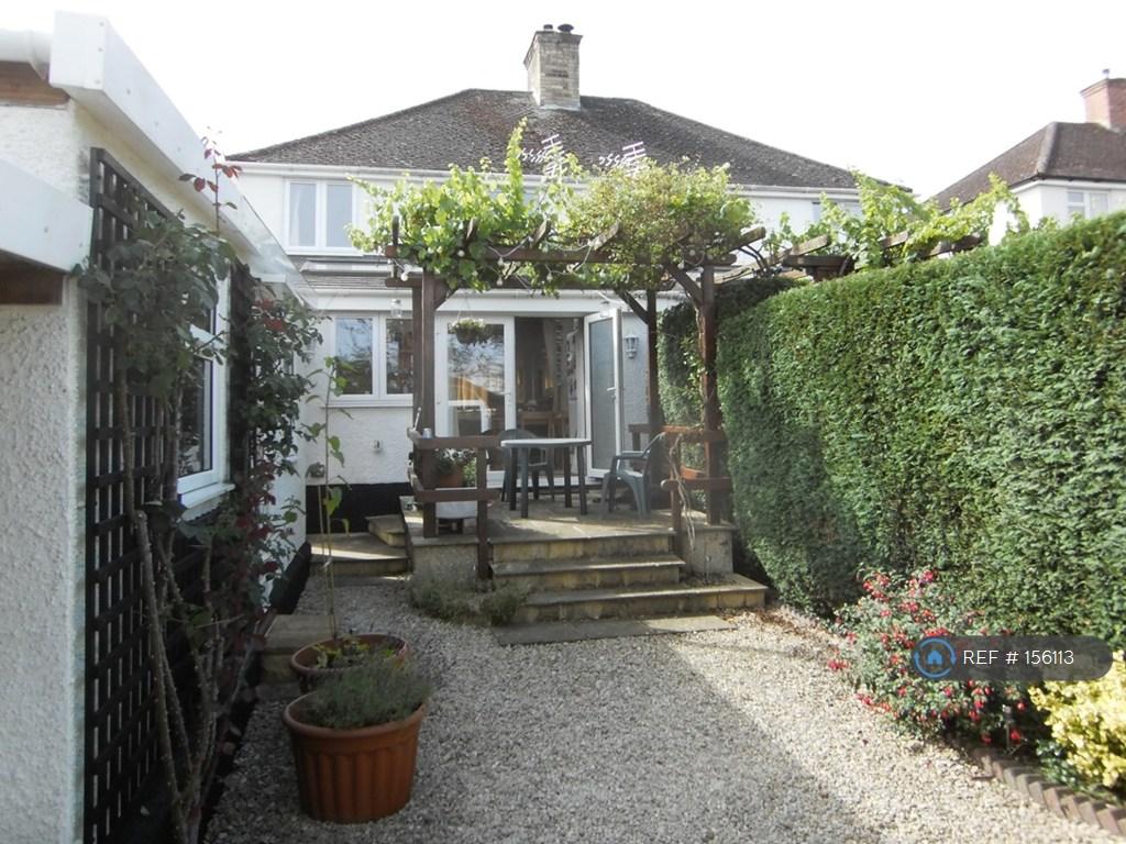 Patio & Rear Garden.