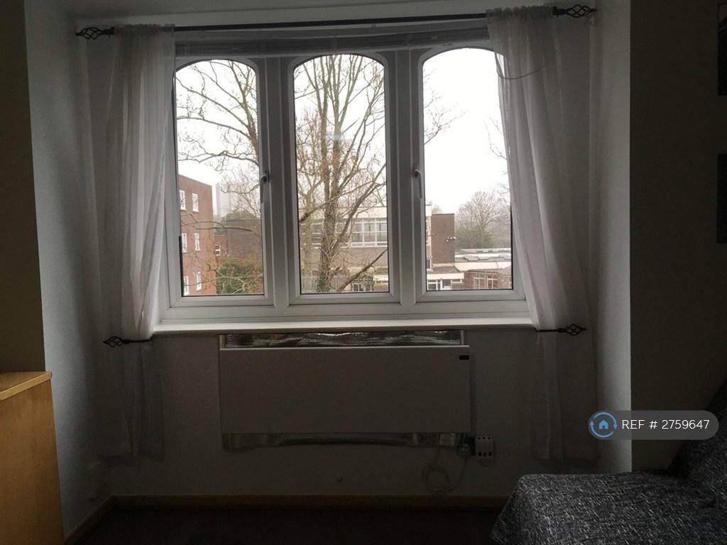 Lounge Window
