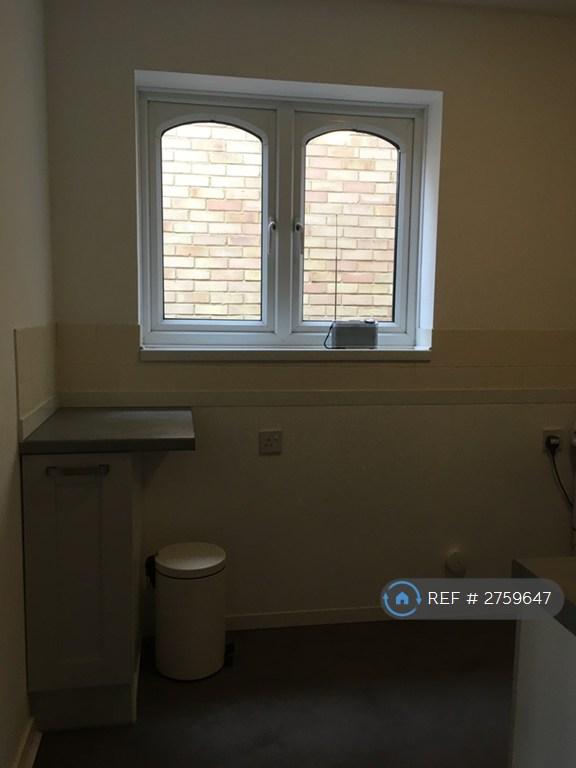 Kitchen Window
