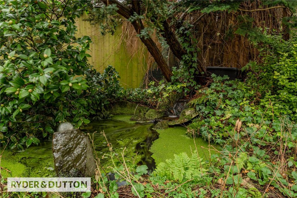 Pond