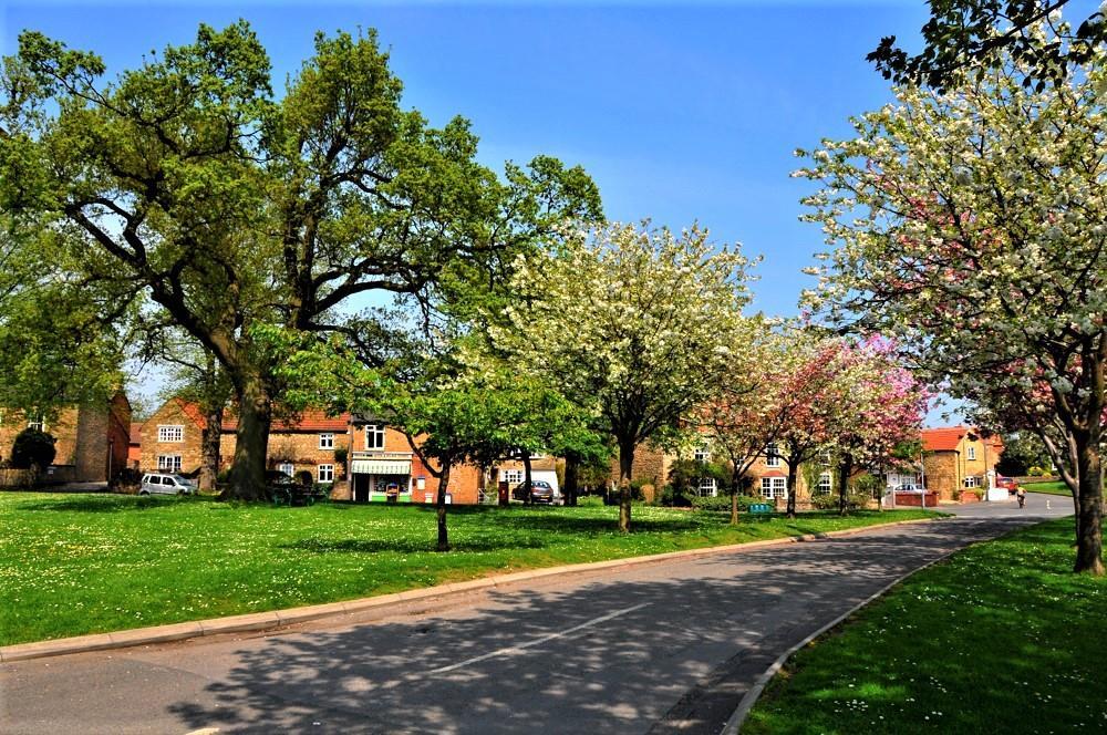 The Green Ingham2.jpg