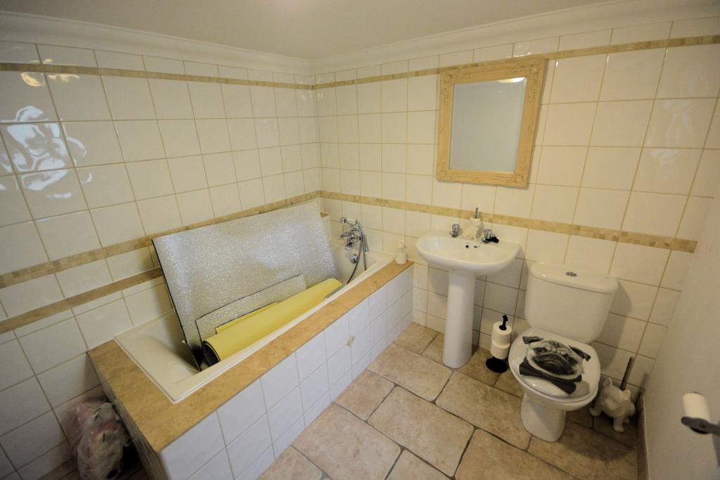 Annexe/studio bathroom