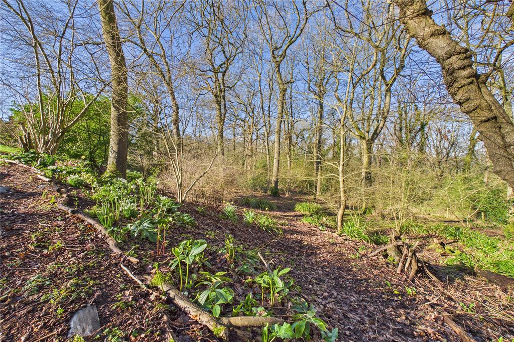 Woodland