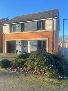 undefined, Park Wynd, Middlesbrough